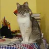 Отзыв от Фаина Седова